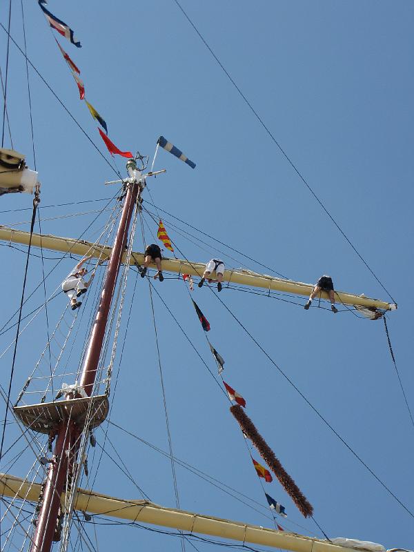 delfsail_mastwerk_op_dar mlodziezy.jpg - Aan het werk hoog in de mast op de Dar Mlodziezy. En als je op de kade staat is het inderdaad behoorlijk hoog!